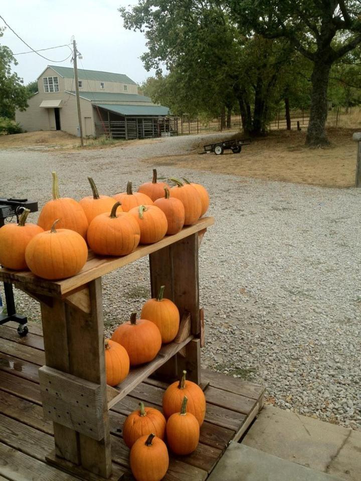 Netherfield Natural Farm Fontana Buitenkant foto